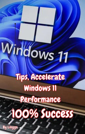 Tips, Acceselerate Windows 11 Performance